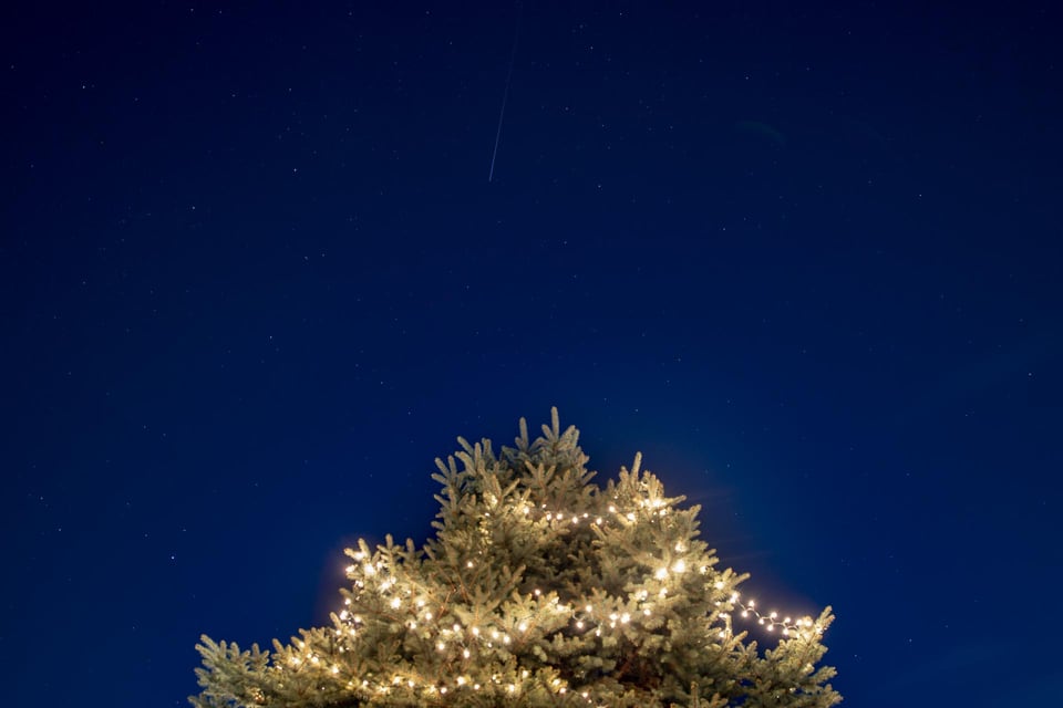 Traînée lumineuse de l'ISS dans un ciel étoilé, au-dessus de la cime d'un sapin