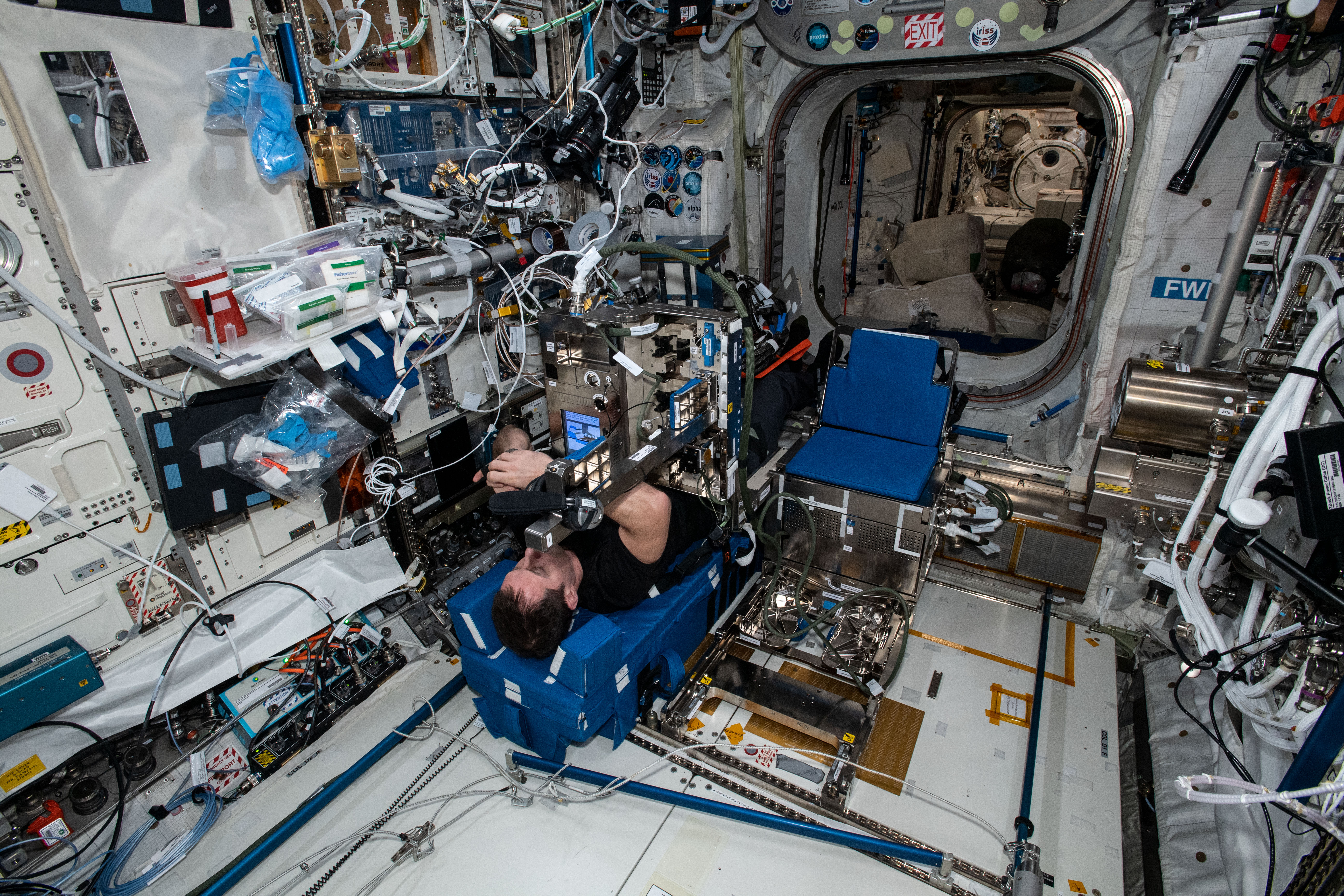 Thomas Pesquet travaillant sur l'expérience scientifique GRIP à bord de l'ISS