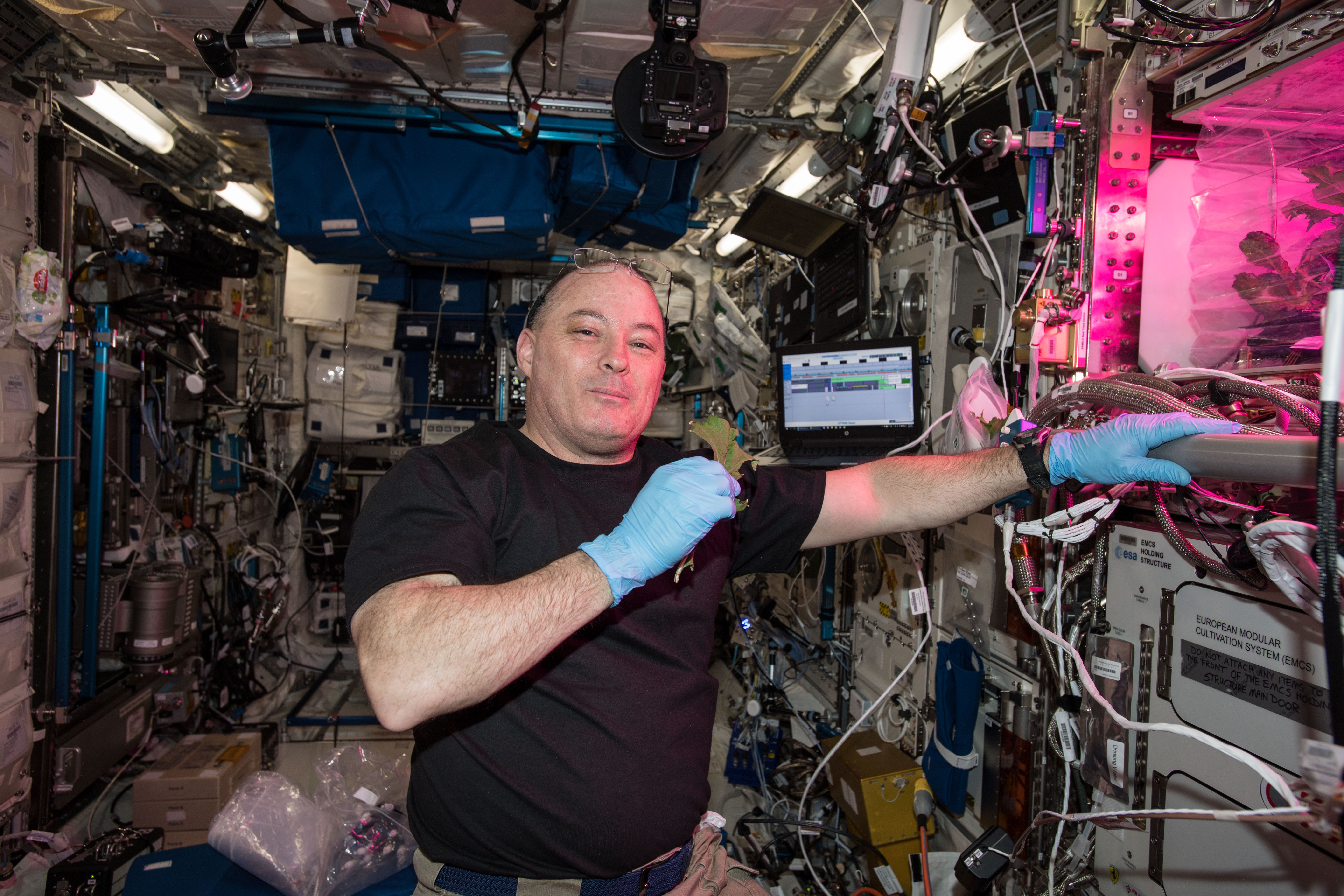 L'astronaute Scott Tingle mange de la laitue cultivée à bord de l'ISS